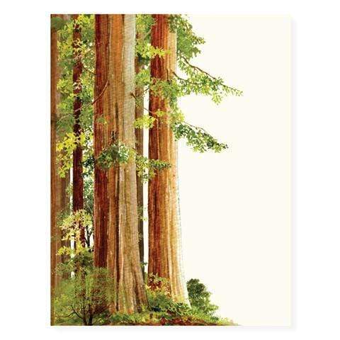 Redwood Trees Card