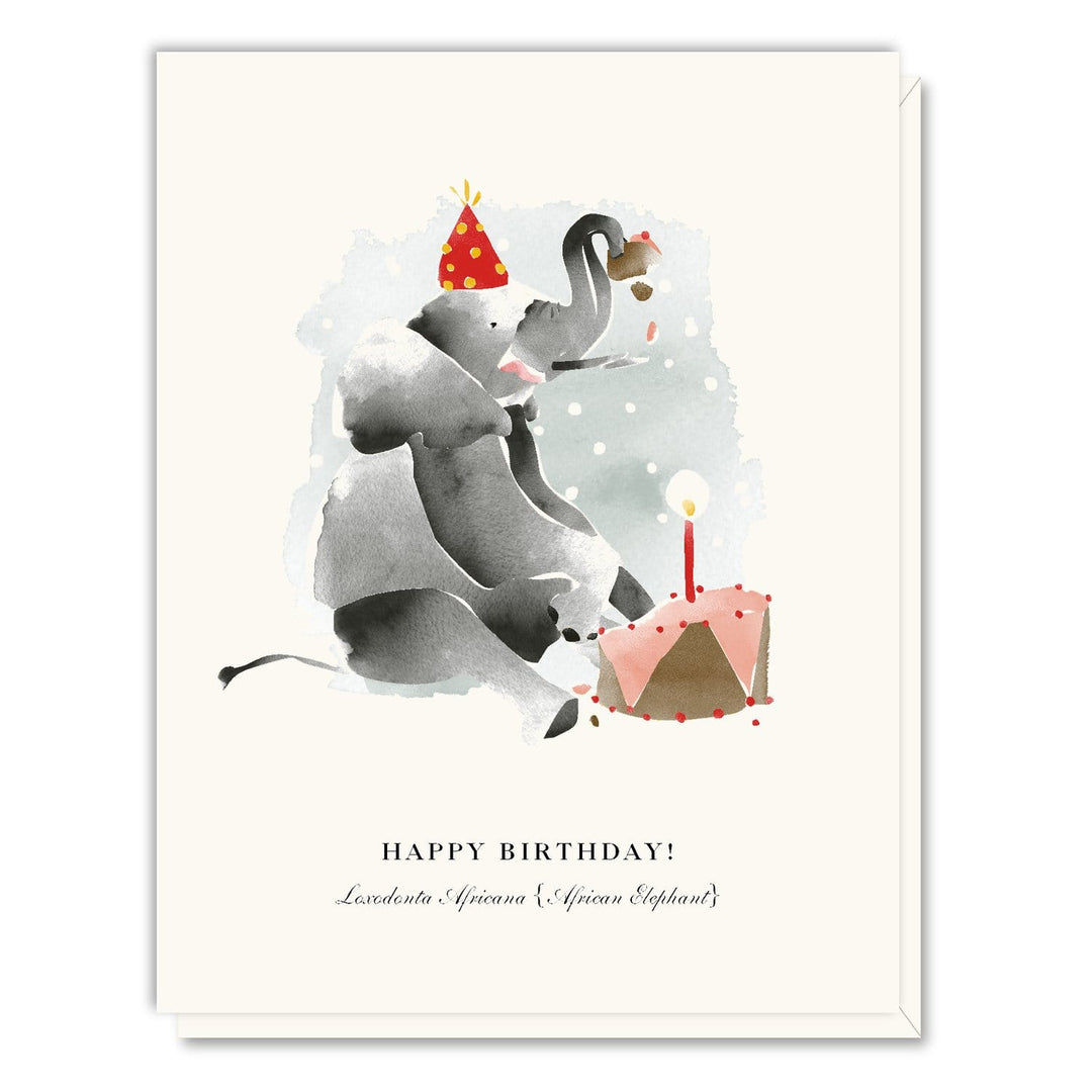 Birthday Elephant Card