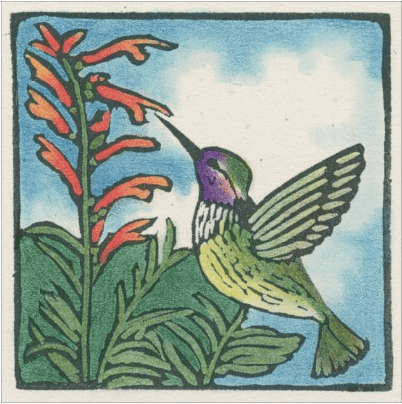 Hummingbird Enclosure Card