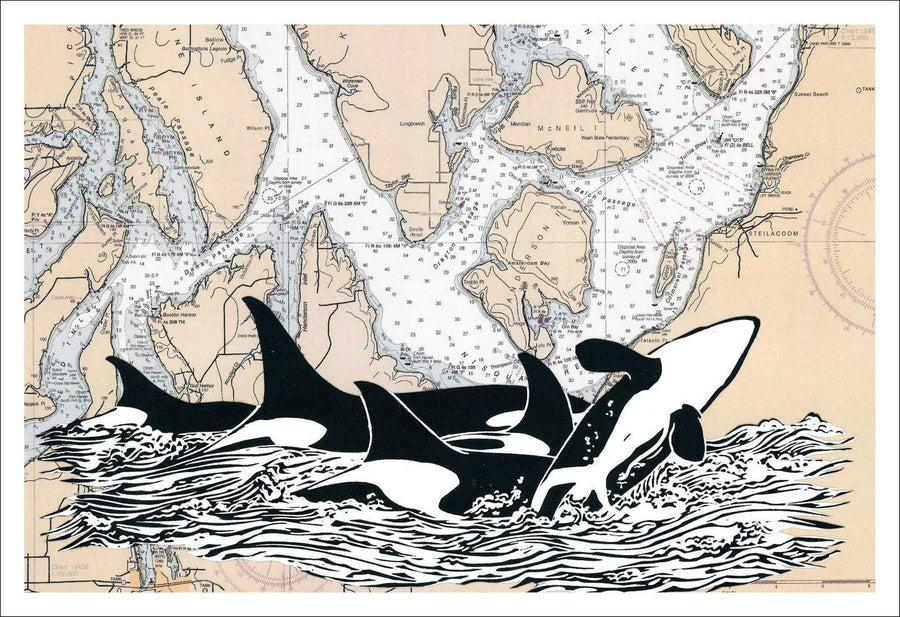 Mimi Williams Card Orca Sighting Card