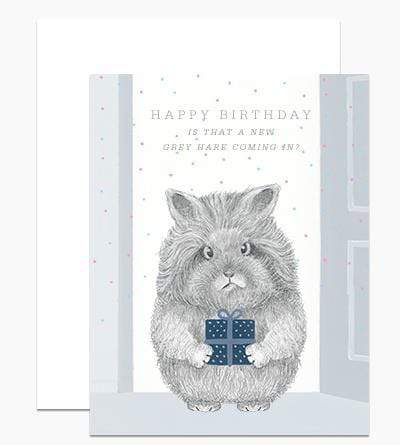 Happy Birthday - Is That a New Grey Hare Coming In?